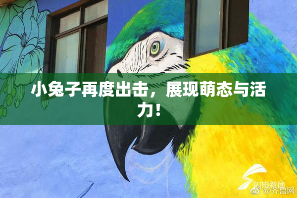 小兔子再度出击，展现萌态与活力！
