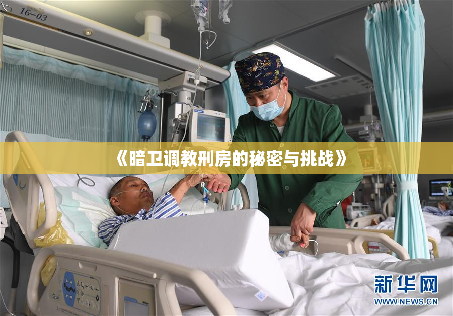 《暗卫调教刑房的秘密与挑战》