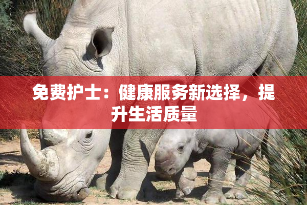 免费护士：健康服务新选择，提升生活质量
