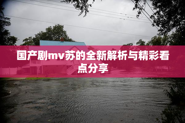 国产剧mv苏的全新解析与精彩看点分享