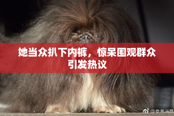 她当众扒下内裤，惊呆围观群众引发热议