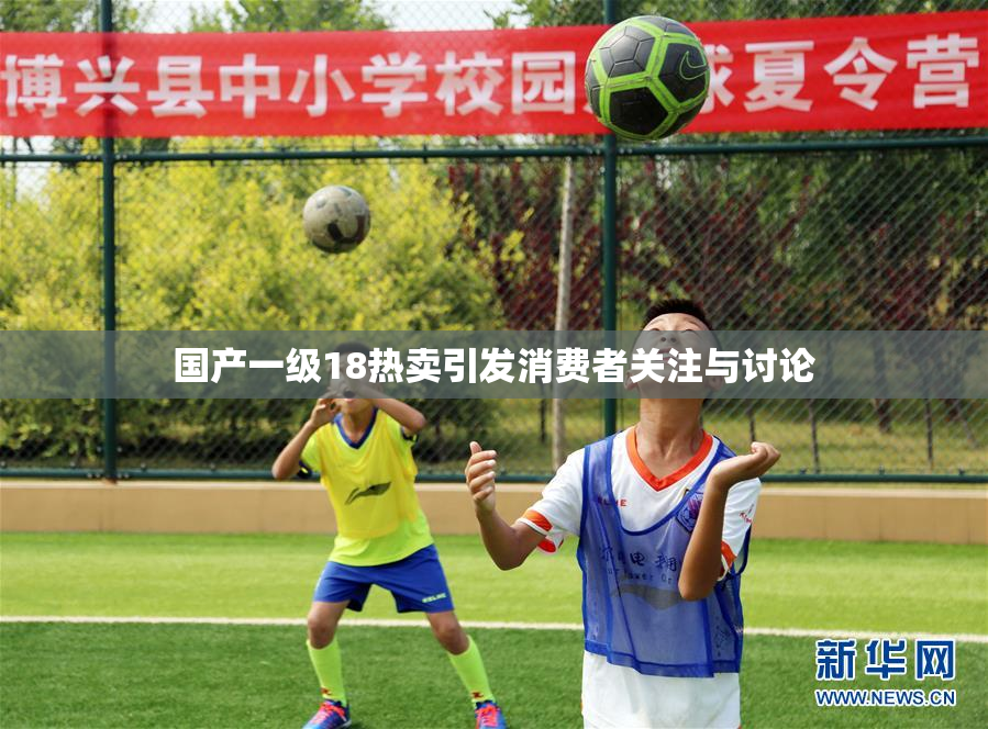 国产一级18热卖引发消费者关注与讨论