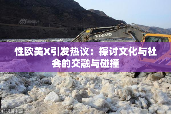 性欧美X引发热议：探讨文化与社会的交融与碰撞