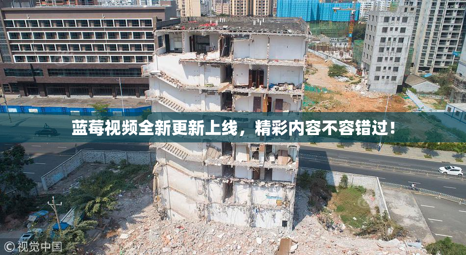 蓝莓视频全新更新上线，精彩内容不容错过！