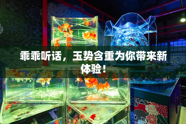 乖乖听话，玉势含重为你带来新体验！