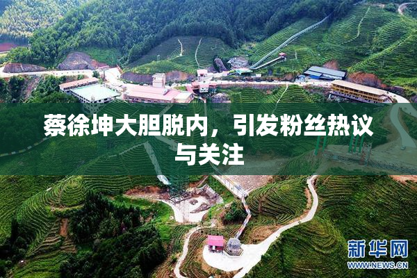 蔡徐坤大胆脱内，引发粉丝热议与关注