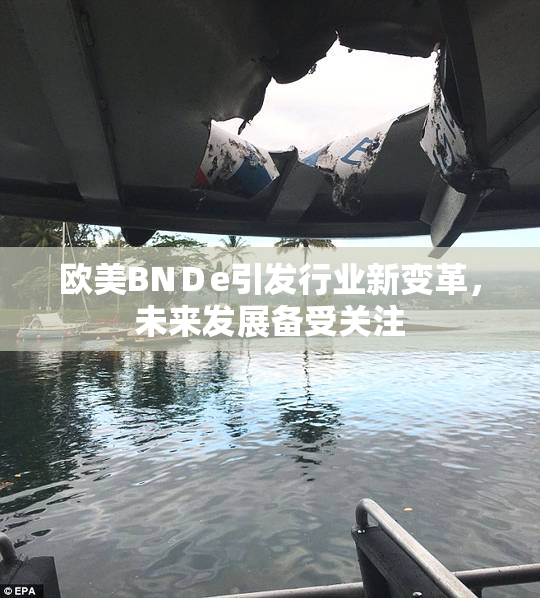 欧美BNＤe引发行业新变革，未来发展备受关注