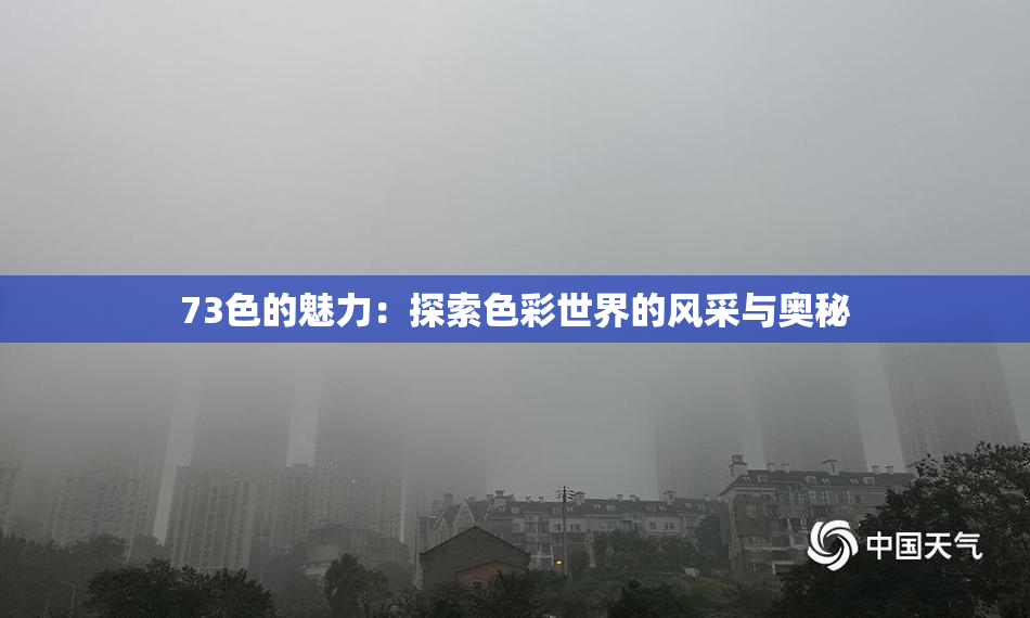 73色的魅力：探索色彩世界的风采与奥秘