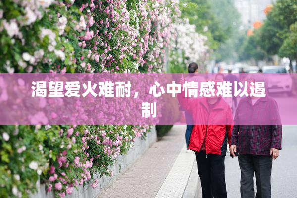 渴望爱火难耐，心中情感难以遏制