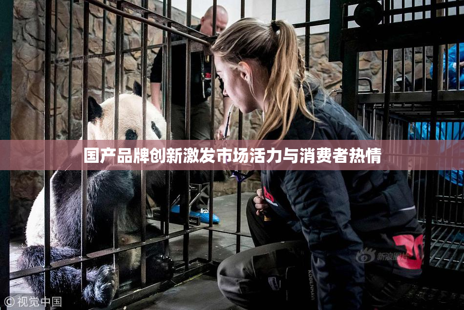 国产品牌创新激发市场活力与消费者热情