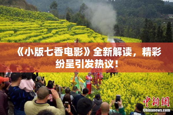 《小版七香电影》全新解读，精彩纷呈引发热议！