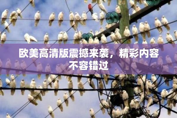 欧美高清版震撼来袭，精彩内容不容错过