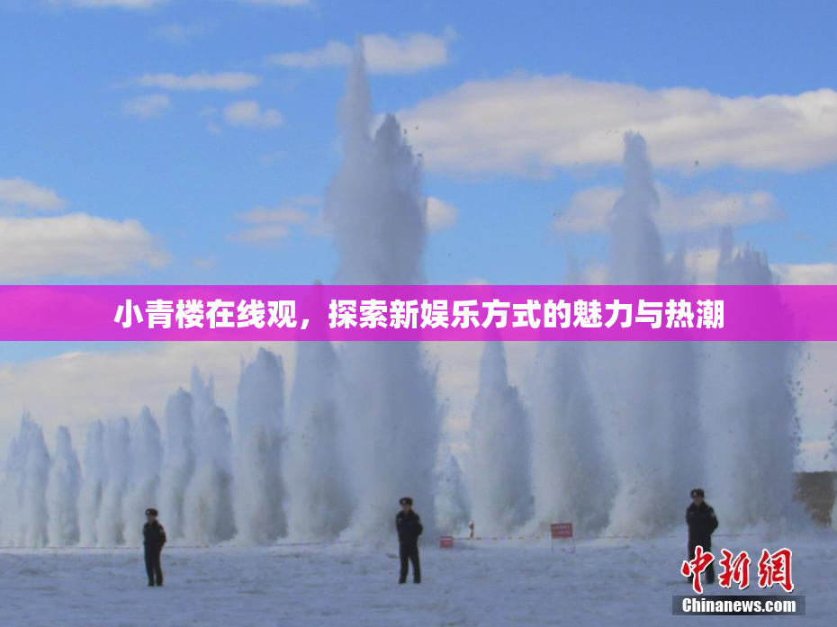 小青楼在线观，探索新娱乐方式的魅力与热潮