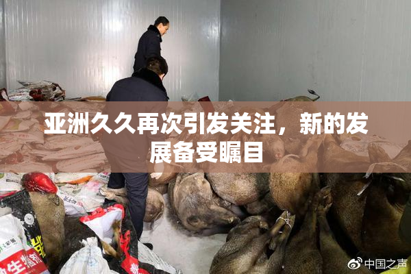 亚洲久久再次引发关注，新的发展备受瞩目