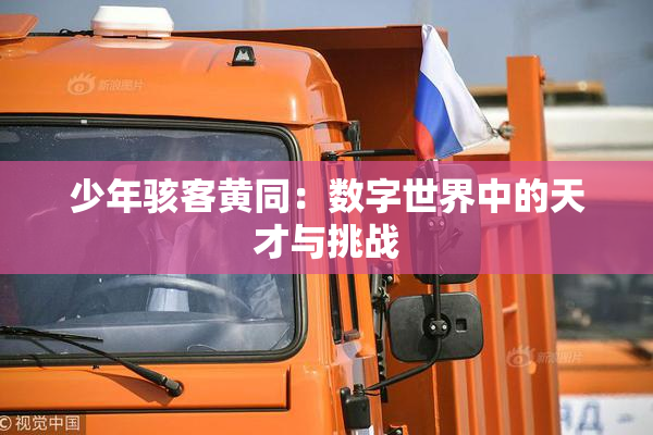少年骇客黄同：数字世界中的天才与挑战