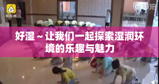 好湿～让我们一起探索湿润环境的乐趣与魅力