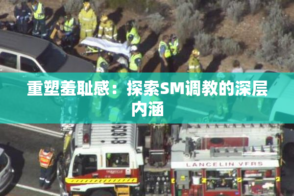 重塑羞耻感：探索SM调教的深层内涵