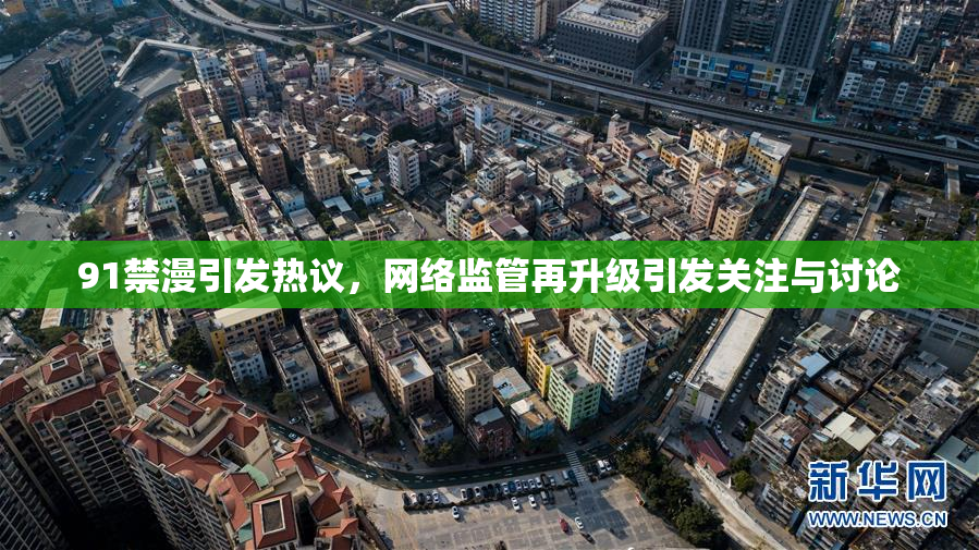 91禁漫引发热议，网络监管再升级引发关注与讨论