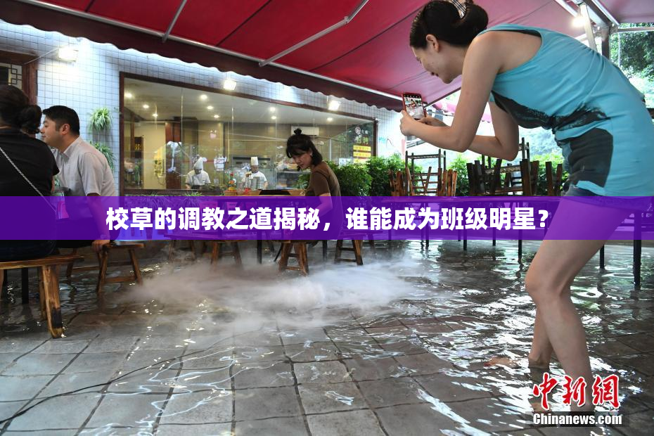校草的调教之道揭秘，谁能成为班级明星？