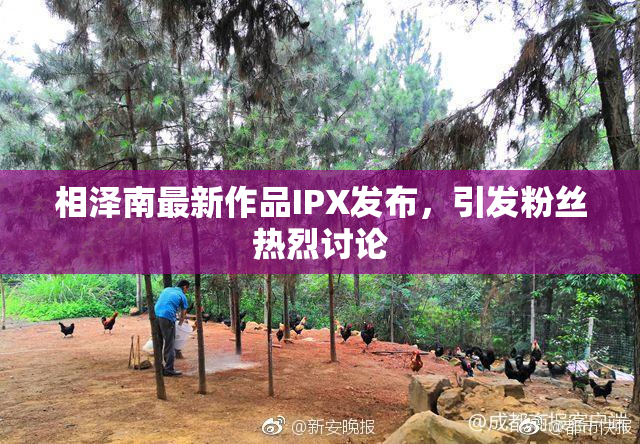 相泽南最新作品IPX发布，引发粉丝热烈讨论