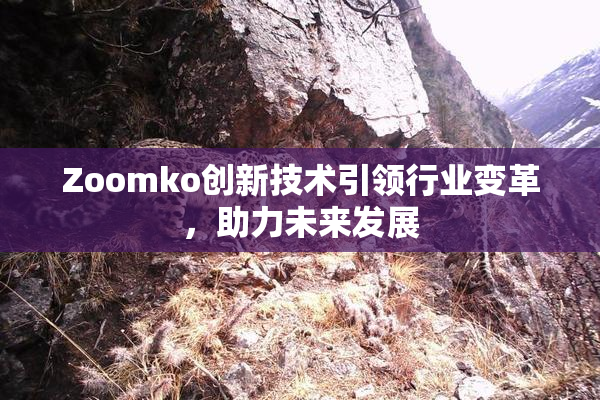 Zoomko创新技术引领行业变革，助力未来发展
