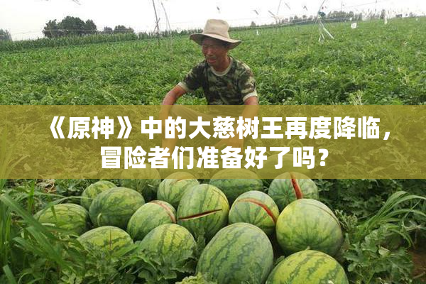 《原神》中的大慈树王再度降临，冒险者们准备好了吗？