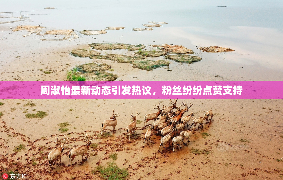 周淑怡最新动态引发热议，粉丝纷纷点赞支持