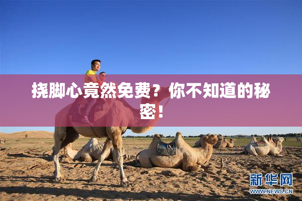 挠脚心竟然免费？你不知道的秘密！