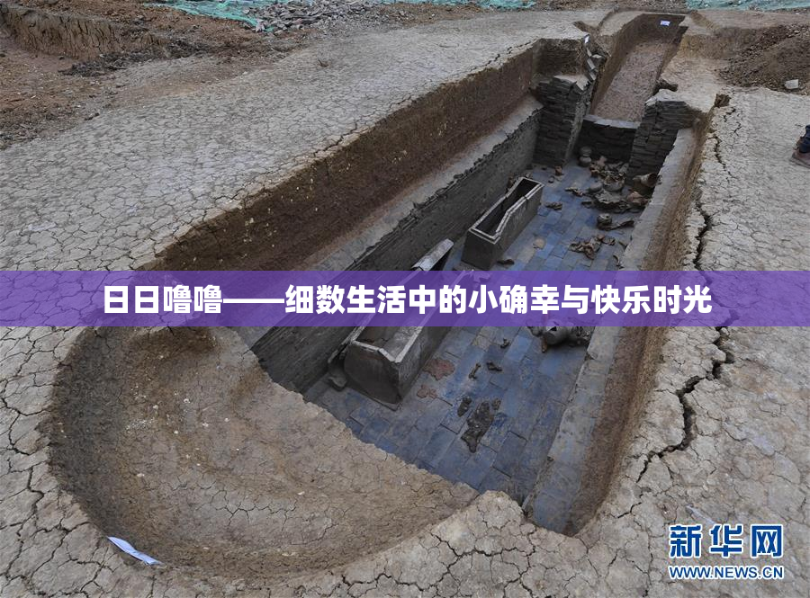 日日噜噜——细数生活中的小确幸与快乐时光