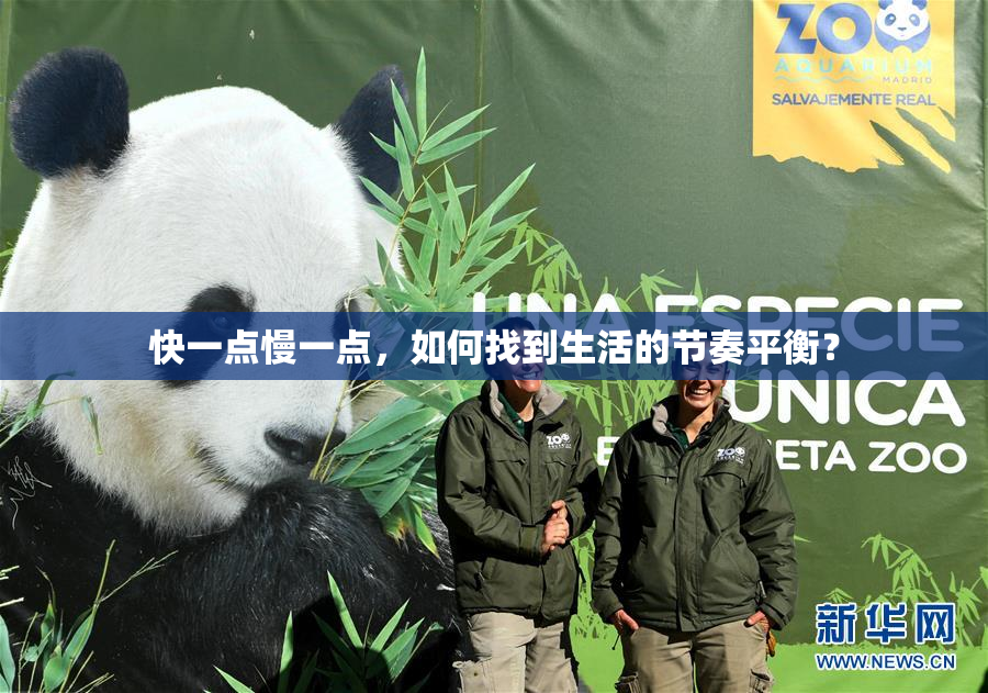 快一点慢一点，如何找到生活的节奏平衡？
