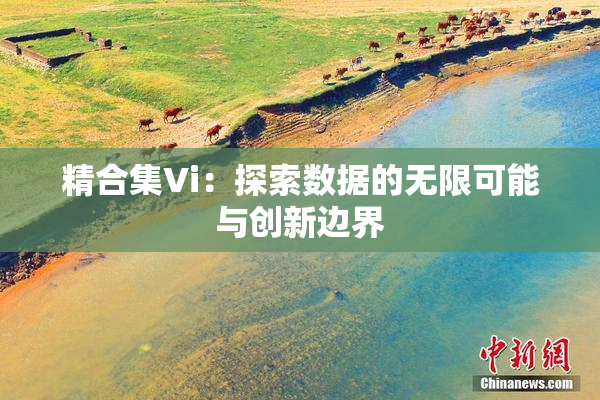 精合集Vi：探索数据的无限可能与创新边界