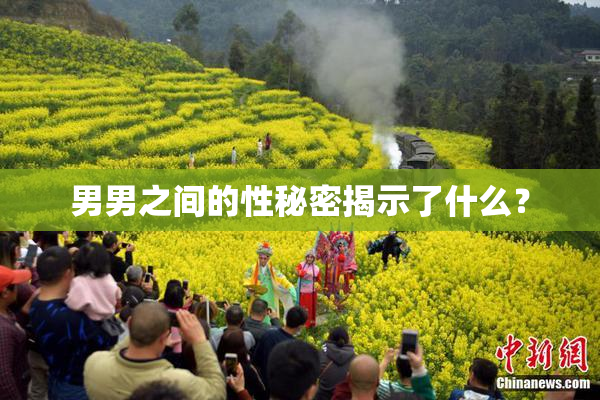 男男之间的性秘密揭示了什么？