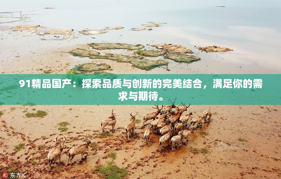 91精品国产：探索品质与创新的完美结合，满足你的需求与期待。