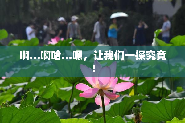 啊…啊哈…嗯，让我们一探究竟！