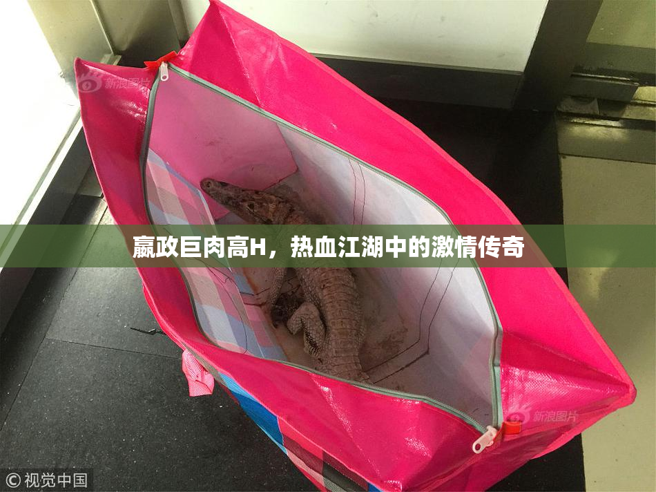嬴政巨肉高H，热血江湖中的激情传奇