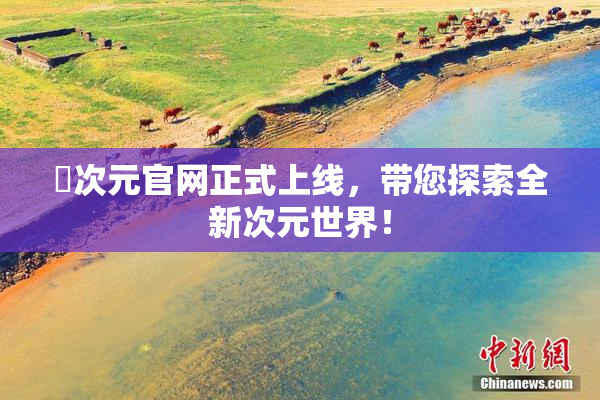 囧次元官网正式上线，带您探索全新次元世界！