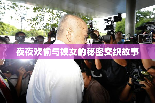 夜夜欢愉与妓女的秘密交织故事