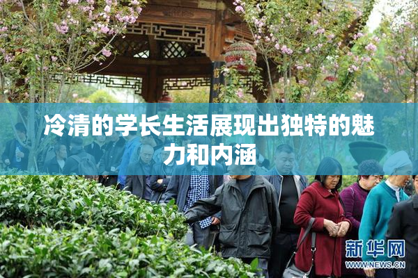 冷清的学长生活展现出独特的魅力和内涵