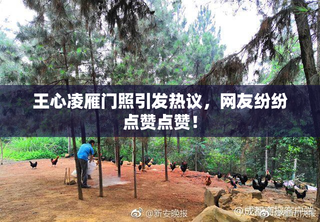 王心凌雁门照引发热议，网友纷纷点赞点赞！