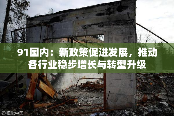 91国内：新政策促进发展，推动各行业稳步增长与转型升级