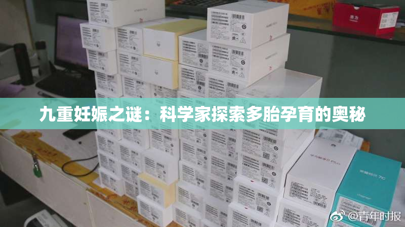 九重妊娠之谜：科学家探索多胎孕育的奥秘