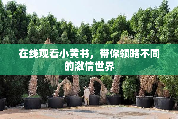 在线观看小黄书，带你领略不同的激情世界