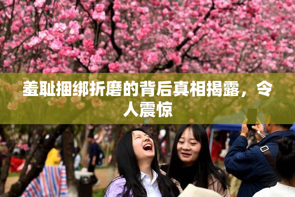 羞耻捆绑折磨的背后真相揭露，令人震惊
