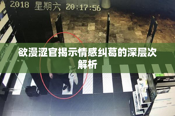 欲漫涩官揭示情感纠葛的深层次解析