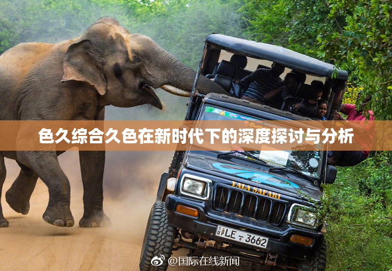 色久综合久色在新时代下的深度探讨与分析
