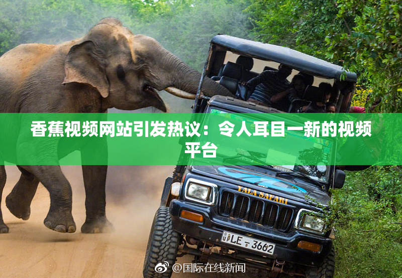 香蕉视频网站引发热议：令人耳目一新的视频平台