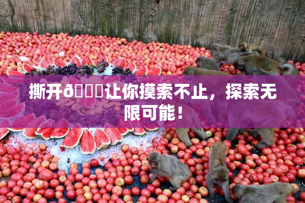撕开👙让你摸索不止，探索无限可能！