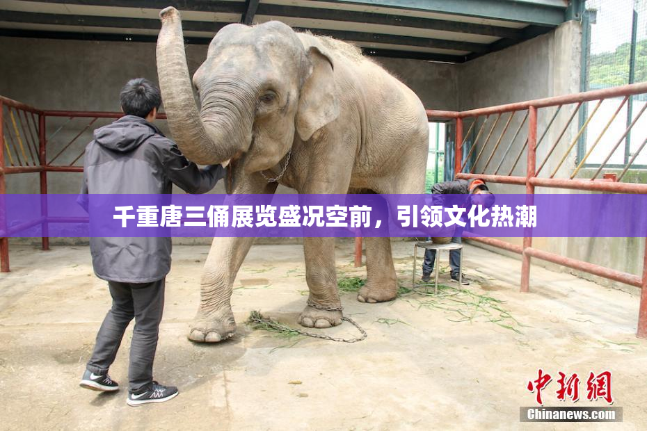 千重唐三俑展览盛况空前，引领文化热潮