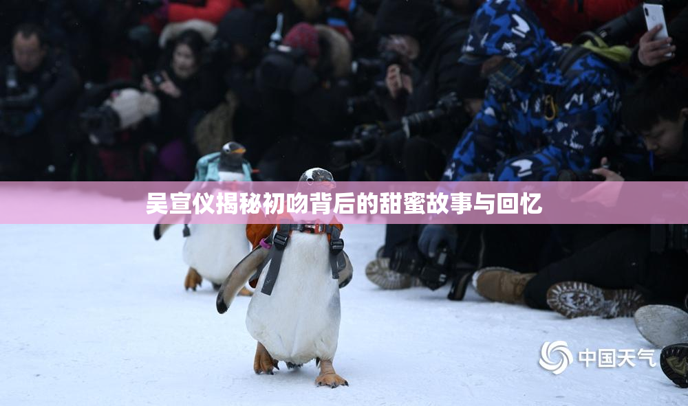 吴宣仪揭秘初吻背后的甜蜜故事与回忆