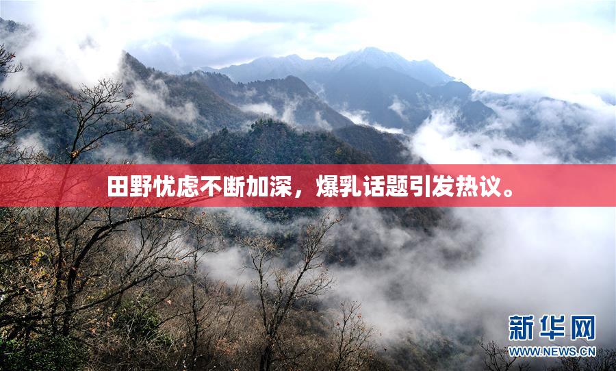 田野忧虑不断加深，爆乳话题引发热议。